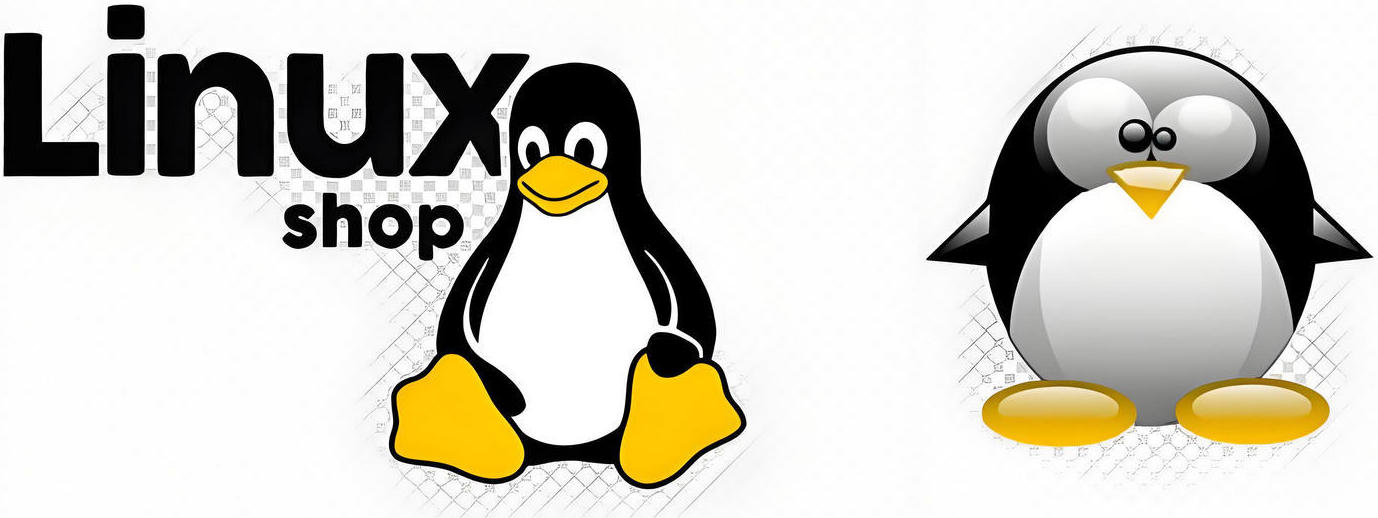 Linux 系统