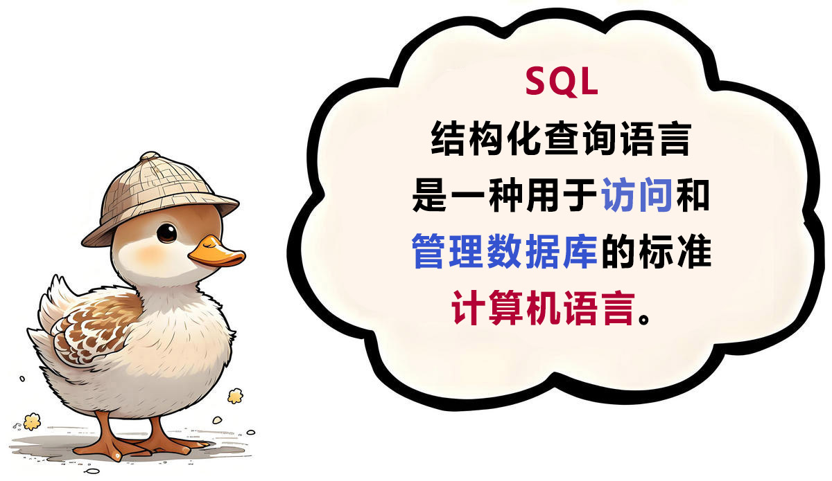 SQL 语言概念